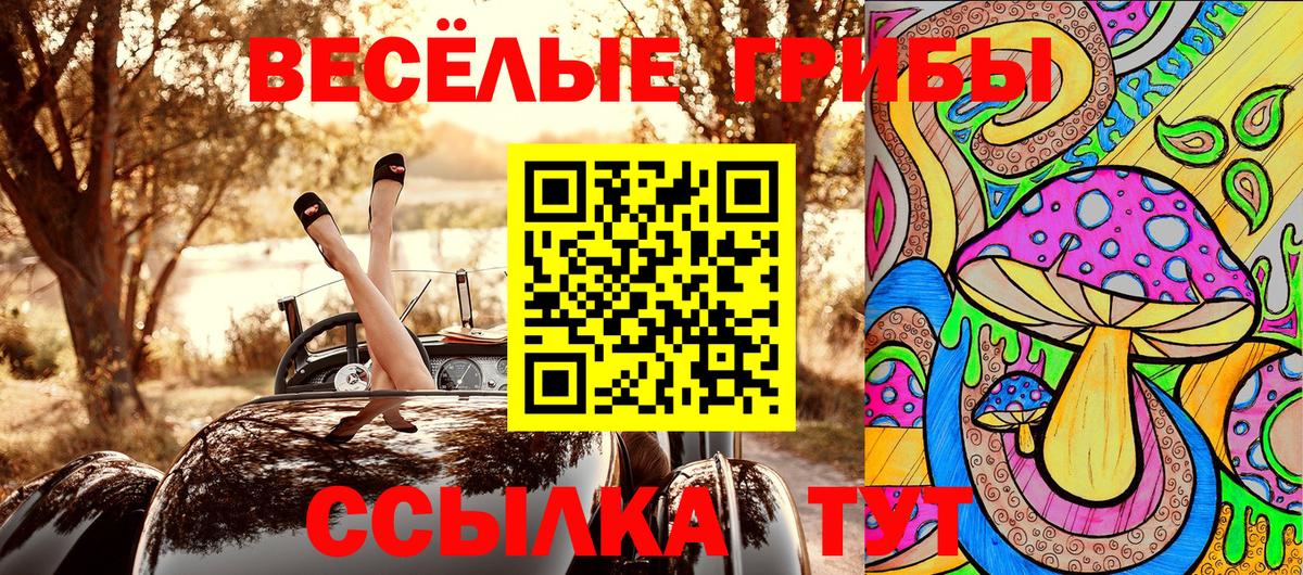 Псилоцибиновые грибы мицелий Дедовск