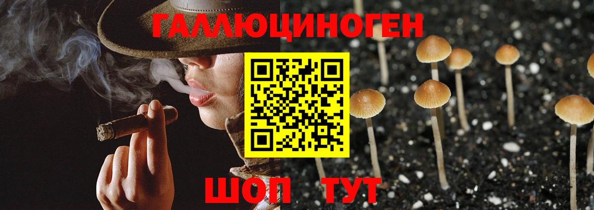 купить наркотики сайты  Вход с VPN  Дедовск  Галлюциногенные грибы MAGIC MUSHROOMS 